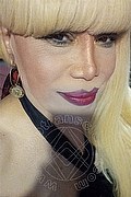 Milano Trans Nicole Vip Venturiny 353 35 38 868 foto selfie 5