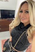 Ivrea Trans Marcella Ferrari 351 40 94 172 foto selfie 1