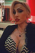 Monza Trans Escort Regina Audrey Italiana 388 98 31 116 foto selfie 50