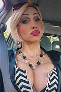 Monza Trans Escort Regina Audrey Italiana 388 98 31 116 foto selfie 45