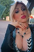 Monza Trans Escort Regina Audrey Italiana 388 98 31 116 foto selfie 43