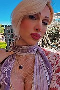 Monza Trans Escort Regina Audrey Italiana 388 98 31 116 foto selfie 38