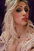 Monza Trans Escort Regina Audrey Italiana 388 98 31 116 foto selfie 23