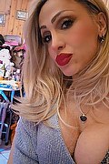 Monza Trans Escort Regina Audrey Italiana 388 98 31 116 foto selfie 17