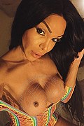 Bologna Trans Escort Wanessa Armani 351 80 69 231 foto selfie 2