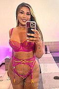 Seregno Trans Laiza Ts 346 12 24 529 foto selfie 2
