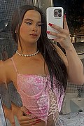 Roma Trans Escort Bruna Bambolina 353 32 40 811 foto selfie 2