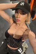 Novara Trans Brunna Campanaro  0033759818179 foto selfie 14