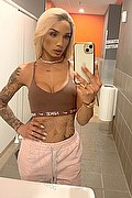 Novara Trans Escort Brunna Campanaro  0033759818179 foto selfie 20