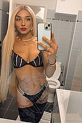 Novara Trans Escort Brunna Campanaro  0033759818179 foto selfie 12