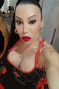 Biella Trans Escort Patrizia Ferraz 388 24 04 407 foto selfie 3