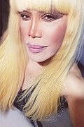 Milano Trans Nicole Vip Venturiny 353 35 38 868 foto selfie 2