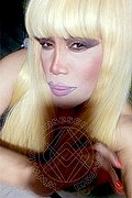 Milano Trans Escort Nicole Vip Venturiny 353 35 38 868 foto selfie 1