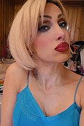 Monza Trans Escort Regina Audrey Italiana 388 98 31 116 foto selfie 3