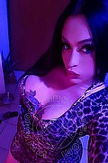 Frosinone Trans Camilla Sexy Bambola 329 70 99 256 foto selfie 4