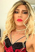 Torino Trans Escort Giulia Araujo 327 37 19 219 foto selfie 46