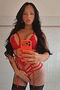 Cuneo Trans Amy Brasiliana 333 14 74 271 foto selfie 1