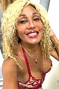 Milano Trans Amber 347 40 04 169 foto selfie 5