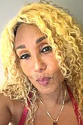 Milano Trans Amber 347 40 04 169 foto selfie 2