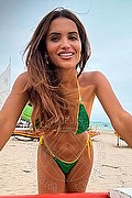 Gallarate Trans Fabricia Larraine 353 31 62 276 foto selfie 3