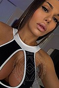 Milano Trans Escort La Bambola 331 34 92 008 foto selfie 2