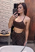 Forl� Trans Renata Cavalcante 388 82 87 575 foto selfie 3