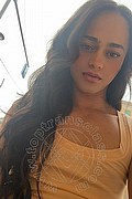 Bologna Trans Victoria New 339 43 37 857 foto selfie 23