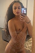 Bologna Trans Victoria New 339 43 37 857 foto selfie 4