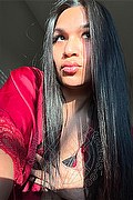 Roma Trans Escort Eiza 366 14 04 660 foto selfie 1