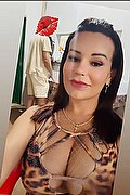 Rende Trans Escort Karen Milanny 347 44 35 213 foto selfie 1