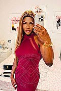 Bergamo Trans Escort Ivy Muller 327 92 51 190 foto selfie 3