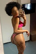 Legnano Trans Escort Miele 331 78 08 280 foto selfie 31