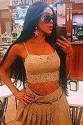 Genova Trans Wanessa Ambrosio 351 80 69 231 foto selfie 13