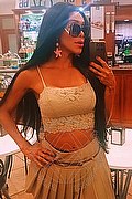 Frosinone Trans Escort Wanessa Ambrosio 351 80 69 231 foto selfie 3