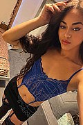 Bologna Trans Escort Victoria New 339 43 37 857 foto selfie 5