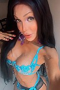 Genova Trans Wanessa Ambrosio 351 80 69 231 foto selfie 8