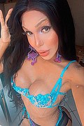 Genova Trans Wanessa Ambrosio 351 80 69 231 foto selfie 6