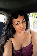 Roma Trans Escort Veronica Vip 366 23 00 289 foto selfie 1