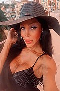 Genova Trans Wanessa Ambrosio 351 80 69 231 foto selfie 1