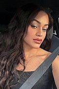 Bologna Trans Escort Victoria New 339 43 37 857 foto selfie 2