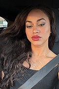 Bologna Trans Escort Victoria New 339 43 37 857 foto selfie 1