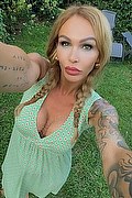 Treviso Trans Valeria 338 87 18 849 foto selfie 3
