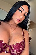Bologna Trans Milla Dotata 393 29 12 055 foto selfie 1