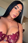 Prato Trans Escort Milla Dotata 393 29 12 055 foto selfie 1