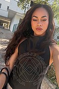 Bologna Trans Escort Victoria New 339 43 37 857 foto selfie 7