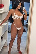 Vicenza Trans Milla Dotata 393 29 12 055 foto selfie 1