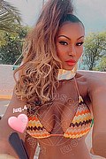Milano Trans Paula Xxl 376 29 61 336 foto selfie 12