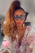 Milano Trans Paula Xxl 376 29 61 336 foto selfie 10