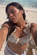 Pordenone Trans Escort Roberta Maliziosa 391 16 14 049 foto selfie 1