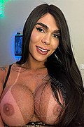 Milano Trans Escort Bella Kalimann 392 72 20 486 foto selfie 4